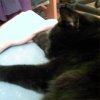 2007-11-12 Ilou dort_l.jpg